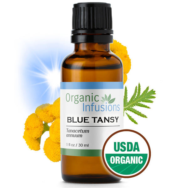 Tansy, Blue