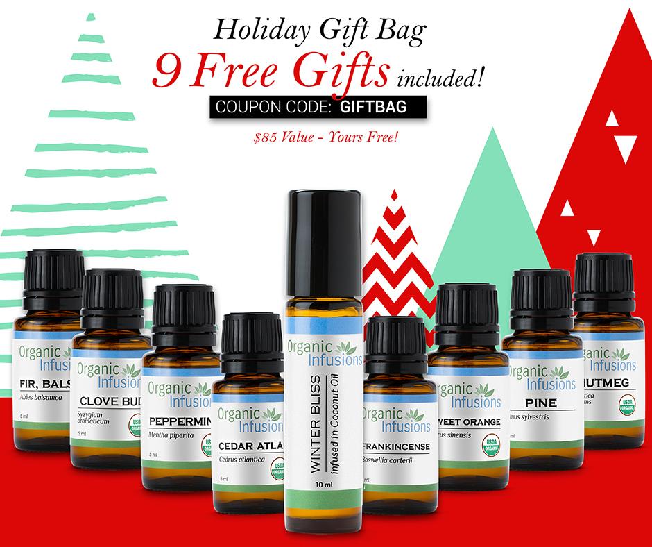 HOLIDAY GIFT BAG