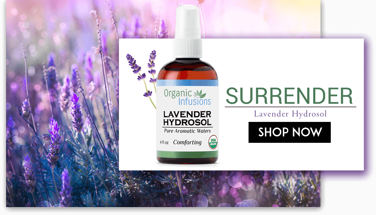 Present Moment - Lavender Hydrosol