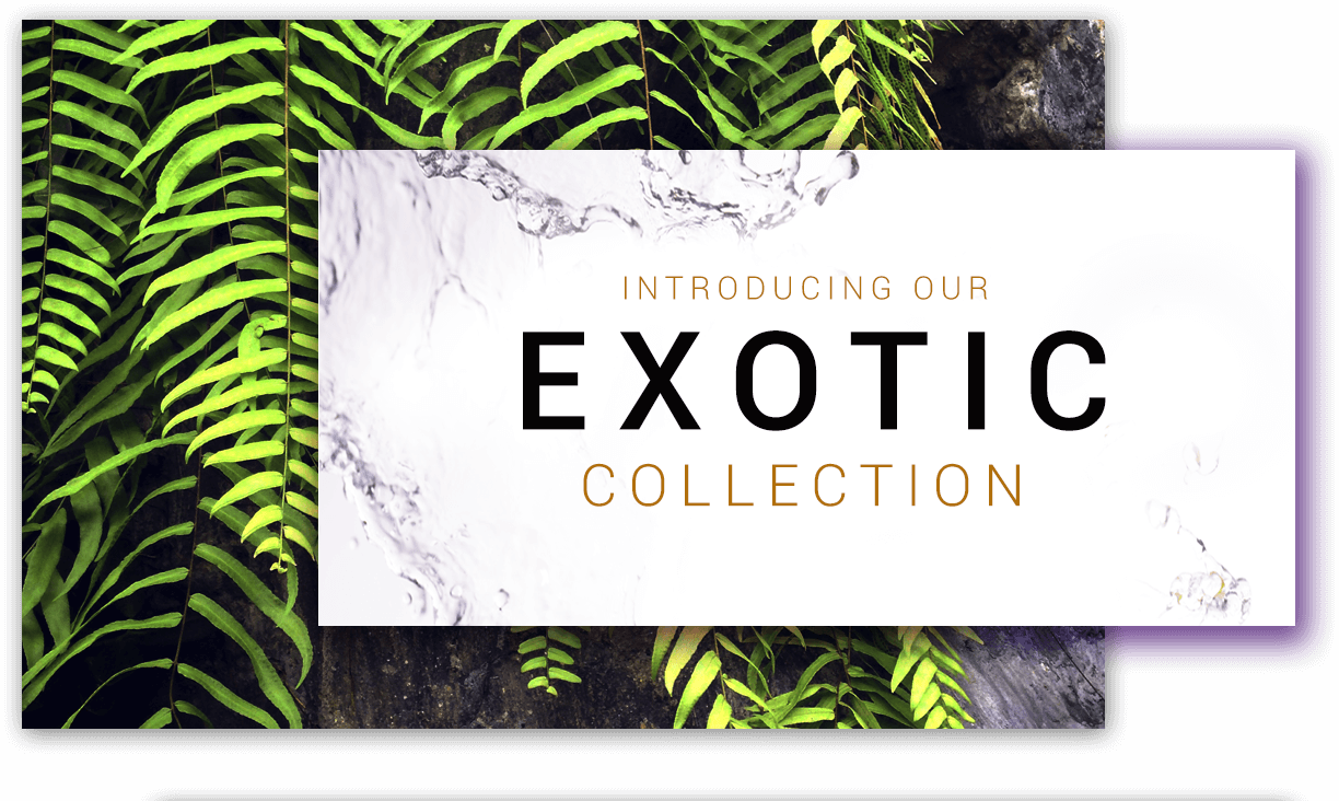 Introducing our Exotic Collection
