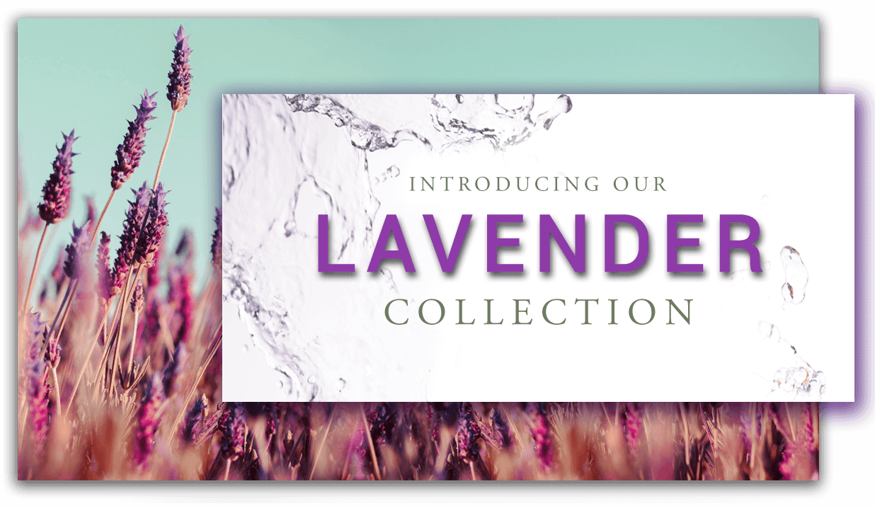 Introducing our Lavendar Collection